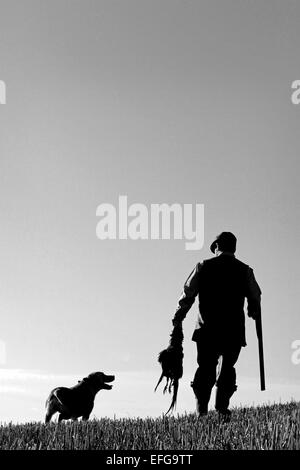 Garde-chasse avec chien exerçant son fusil et les faisans, silhouette noir et blanc Banque D'Images