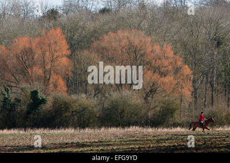 Vue éloignée sur huntsman équitation à travers le paysage sur le terrain en automne, Oxfordshire, England, UK Banque D'Images