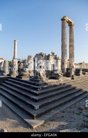 Temple d'Apollon colonnes de Didymes ville antique Didim Turquie Banque D'Images