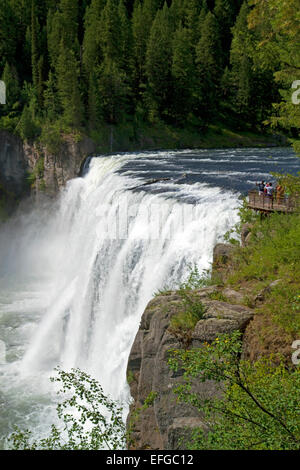 La région de Mesa Falls situé sur la fourchette d'Henry de Fremont County, California, USA. Banque D'Images