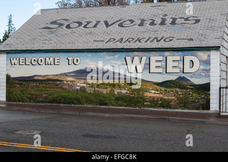 Bienvenue à signer des mauvaises herbes sur un magasin de souvenirs dans la ville de lutte contre les mauvaises herbes, en Californie, le comté de Siskiyou Banque D'Images