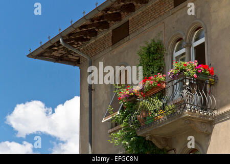 Fleurs de Printemps sur balcon à l'étage, Trento, Italie Banque D'Images