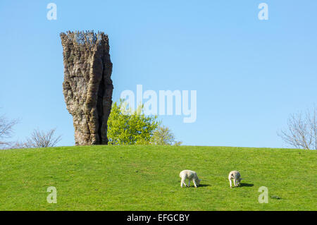 Les moutons, Yorkshire Sculpture Park Banque D'Images