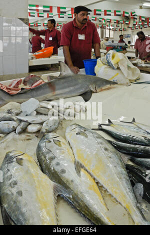 Marché de poisson de Dibba Muhallab, Fujairah, Émirats Arabes Unis Banque D'Images