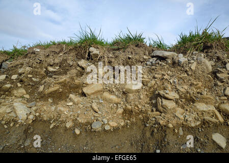 Un profil de sol montrant l'herbe, de la terre végétale et sous-sol dans la région de Westland, Nouvelle-Zélande Banque D'Images