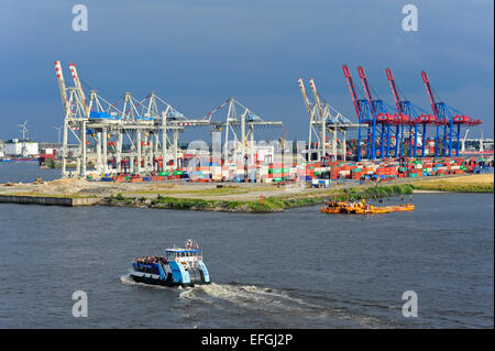 Ferry Port, portiques pour container terminal Tollerort, Steinwerder, port de Hambourg sur l'Elbe, Hambourg, Allemagne Banque D'Images