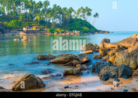Scenic seascape. De grands rochers et de grands palmiers sur la rive Banque D'Images