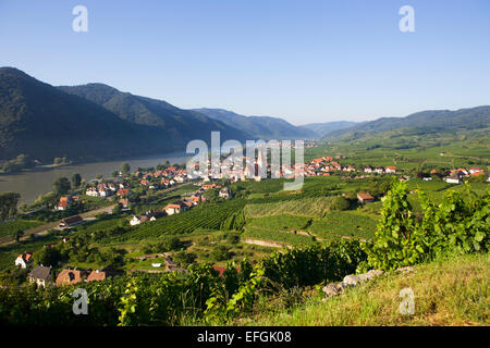 Vignobles et une église fortifiée sur le Danube, Weißenkirchen in der Wachau, Wachau, Basse Autriche, Autriche Banque D'Images