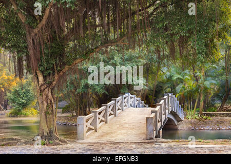 Jardin tropical de l'Asie, Ninh Binh, Vietnam Banque D'Images