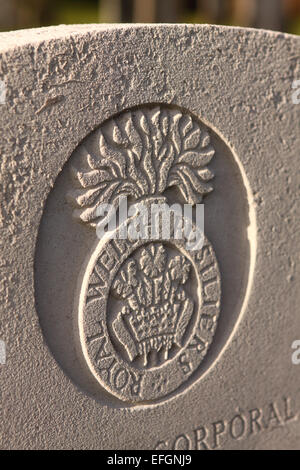 Royal Welch Fusiliers regiment tombe pierre tombale d'un soldat tué en 1940 World War 2 Banque D'Images
