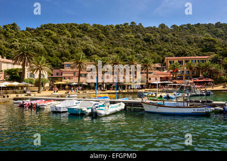 Vue sur le port sur l'île de Port Cros, PACA, Var, Provence-Alpes-Côte d'Azur, France Banque D'Images