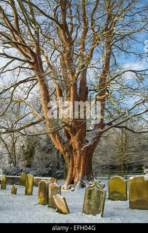 Neige de l'hiver dans le cimetière d'une église paroissiale du petit village de Slingsby dans Yorkshire du Nord dans le nord de l'Angleterre Banque D'Images