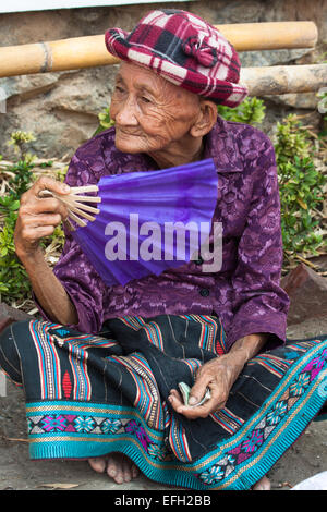 La vieille dame de profiter de regarder le défilé du Nouvel An Lao traditionnel à Luang Prabang, Laos. Banque D'Images