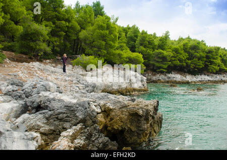 Arbres de pin d'Alep venant jusqu'à la mer à Amarandos (Amarantos) Cap au sud de Agnondas (Agnondas), Skopelos Grèce Banque D'Images