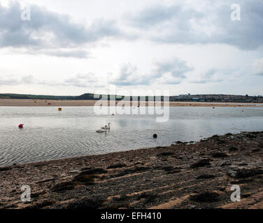 Village exceptionnel de Rock North Cornwall. Banque D'Images