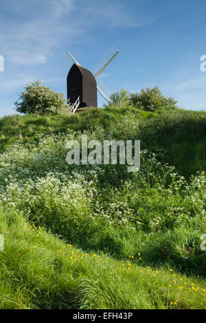 Brill moulin debout parmi les vieux rouages de l'argile commune à côté de l'aubépine à fleurs Brill, barbue, Buckinghamshire, Angleterre Banque D'Images