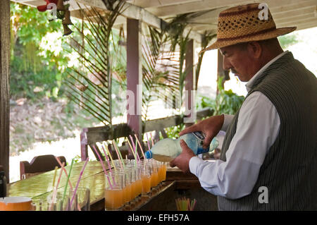 Vue horizontale d'un bartender making cocktails rhum cubain. Banque D'Images