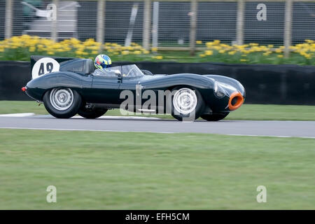 1955 Jaguar D-Type Banque D'Images