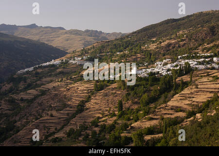 Avis de Bubion village. Région de l'Alpujarra. Grenade. L'Andalousie. Espagne Banque D'Images