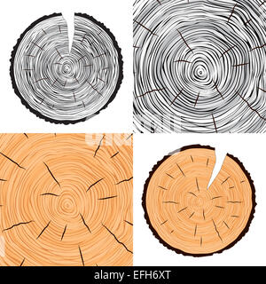 Les anneaux de croissance des arbres contexte Banque D'Images