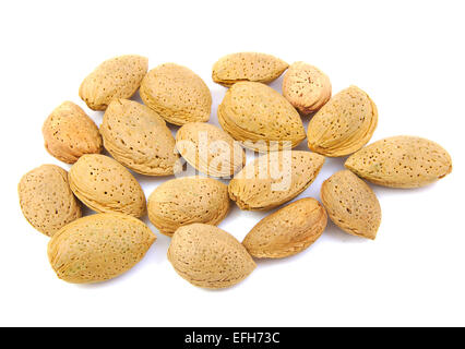 Amandes en coques sur un fond blanc. Banque D'Images