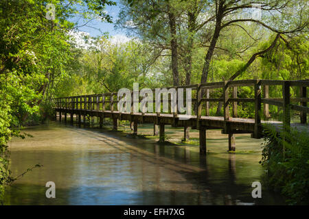 Une passerelle en bois traverse une large section de l'essai de rivière de Wherwell à Chilbolton Cow Common, Test Valley, Hampshire, Angleterre Banque D'Images