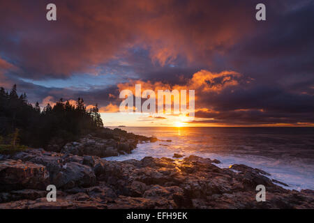 Lever du soleil le long de la côte rocheuse de l'Acadia National Park, Maine, USA Banque D'Images