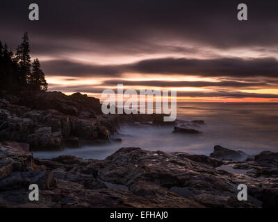 Lever du soleil le long de la côte rocheuse de l'Acadia National Park, Maine, USA Banque D'Images