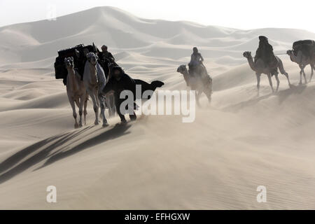 Un document non daté photo montre une photo tirée du film "Queen of the Desert' par le réalisateur Werner Herzog. Le film sera présenté en compétition officielle du 65e Festival du Film de Berlin "Berlinale", qui se déroule du 05 au 15 février 2015. PHOTO : QOTD FILM INVESTMENT LTD./BERLINALE/DPA - CRÉDIT OBLIGATOIRE/PAS DE VENTES/UTILISEZ UNIQUEMENT JUSQU'AU 15 MARS 2015 DOCUMENT D'USAGE ÉDITORIAL SEULEMENT - Banque D'Images