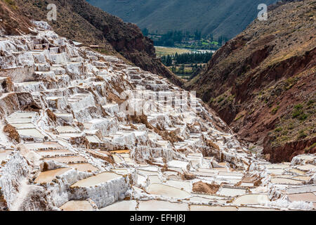 Mines de sel de Maras dans les Andes péruviennes à Cuzco au Pérou Banque D'Images