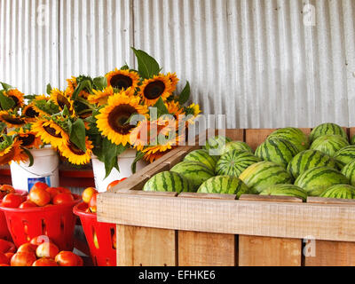 Les pastèques, le tournesol, et les tomates sont commercialisés en vente dans différents bacs, seaux, et les paniers à un marché agricole rural. Banque D'Images