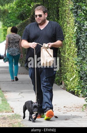 Jonah Hill promène son bouledogue français Carmela avec : Jonah Hill où : Los Angeles, California, United States Quand : 02 août 2014 Banque D'Images