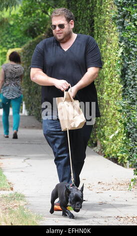 Jonah Hill promène son bouledogue français Carmela avec : Jonah Hill où : Los Angeles, California, United States Quand : 02 août 2014 Banque D'Images