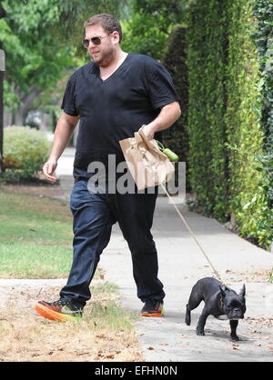 Jonah Hill promène son bouledogue français Carmela avec : Jonah Hill où : Los Angeles, California, United States Quand : 02 août 2014 Banque D'Images