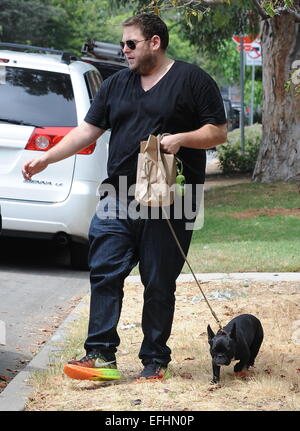 Jonah Hill promène son bouledogue français Carmela avec : Jonah Hill où : Los Angeles, California, United States Quand : 02 août 2014 Banque D'Images