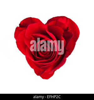 Fleur rose rouge en forme de cœur, isolé sur fond blanc Banque D'Images