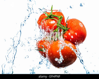 Splash de tomate sur fond blanc Banque D'Images