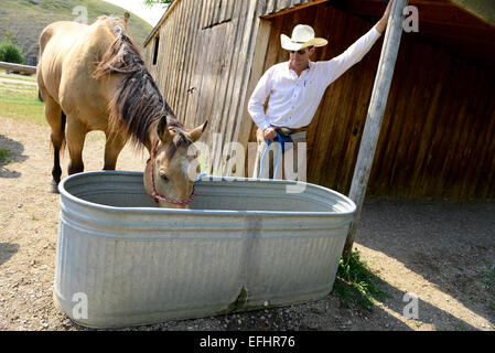 Cowboy à cheval à partir de l'eau potable à travers Banque D'Images