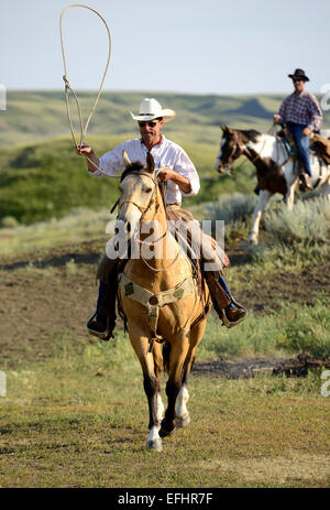 Horse Rider, cowboy, La Reata Ranch, Région des Prairies, en Saskatchewan, Canada. Banque D'Images