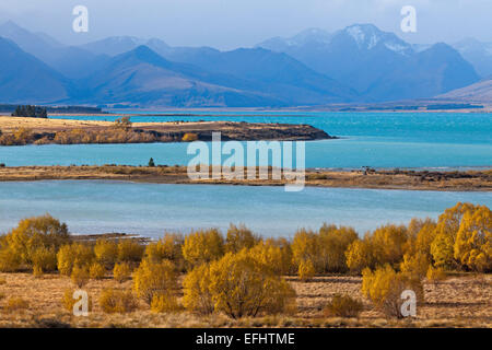 Décor de l'automne au Lac Tekapo et eaux glaciaires, Mackenzie Country, île du Sud, Nouvelle-Zélande Banque D'Images