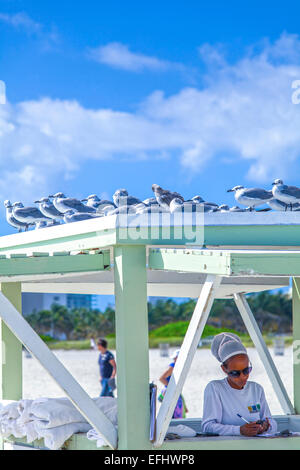 Service de serviettes de plage pour la station le Ritz Carlton avec mouettes sur le haut, South Beach, Miami, Floride, USA Banque D'Images