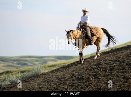 Horse Rider, cowboy, La Reata Ranch, Région des Prairies, en Saskatchewan, Canada. Banque D'Images