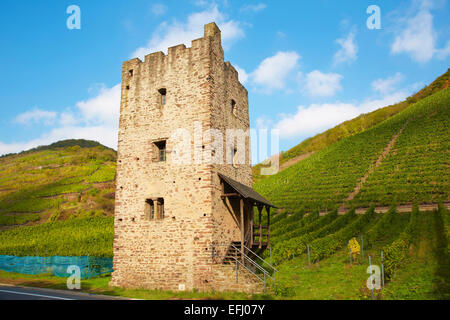 Ruine d'une tour résidentielle de style roman, roman Wohnturm Hofgut Lehmen, vin, district de Lieser, Mosel, Rhénanie-Palatinat, Banque D'Images