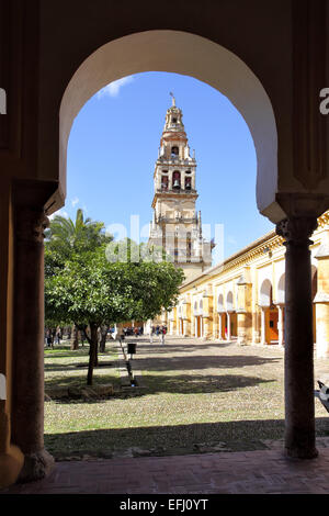 Cour intérieure de la cathédrale (La Mezquita), Cordoue Banque D'Images