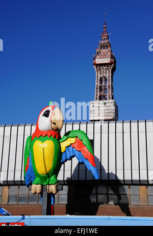 Blackpool Lancashire UK - La tour de Blackpool avec parrot coloré géant sur la nouveauté boutique en premier plan Banque D'Images