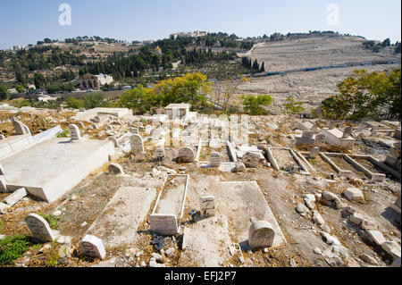 Cimetière Musulman dans la partie haute du Mont du Temple de Jérusalem Banque D'Images