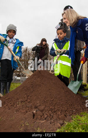 Bristol, Royaume-Uni. 5 Février, 2015. Secrétaire de l'environnement, Elizabeth Truss planté la millionième arbre comme partie de la Defra-led, Grand Arbre qui Plante a commencé en 2010. La cérémonie à Bristol's Eastville Park a été détourné par des manifestants qui s'opposent à un nouveau bus système qui verra la destruction de l'espace vert actuellement utilisé par projet communautaire, d'aliments pour animaux à Bristol. Également présent à la cérémonie a été élu maire, George Ferguson, Pauline Black, de l'usine Grand Arbre et Sir Harry Studholme à partir de la Commission forestière. Credit : Redorbital Photography/Alamy Live News Banque D'Images