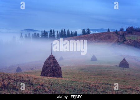 Dans haystack seul Foggy Mountain Banque D'Images