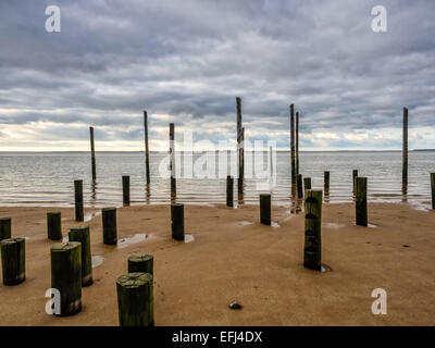 Promenade à la mer des Wadden à Hjerting, Esbjerg, Danemark Banque D'Images
