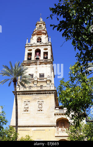 Clocher de la cathédrale (La Mezquita), Cordoue Banque D'Images